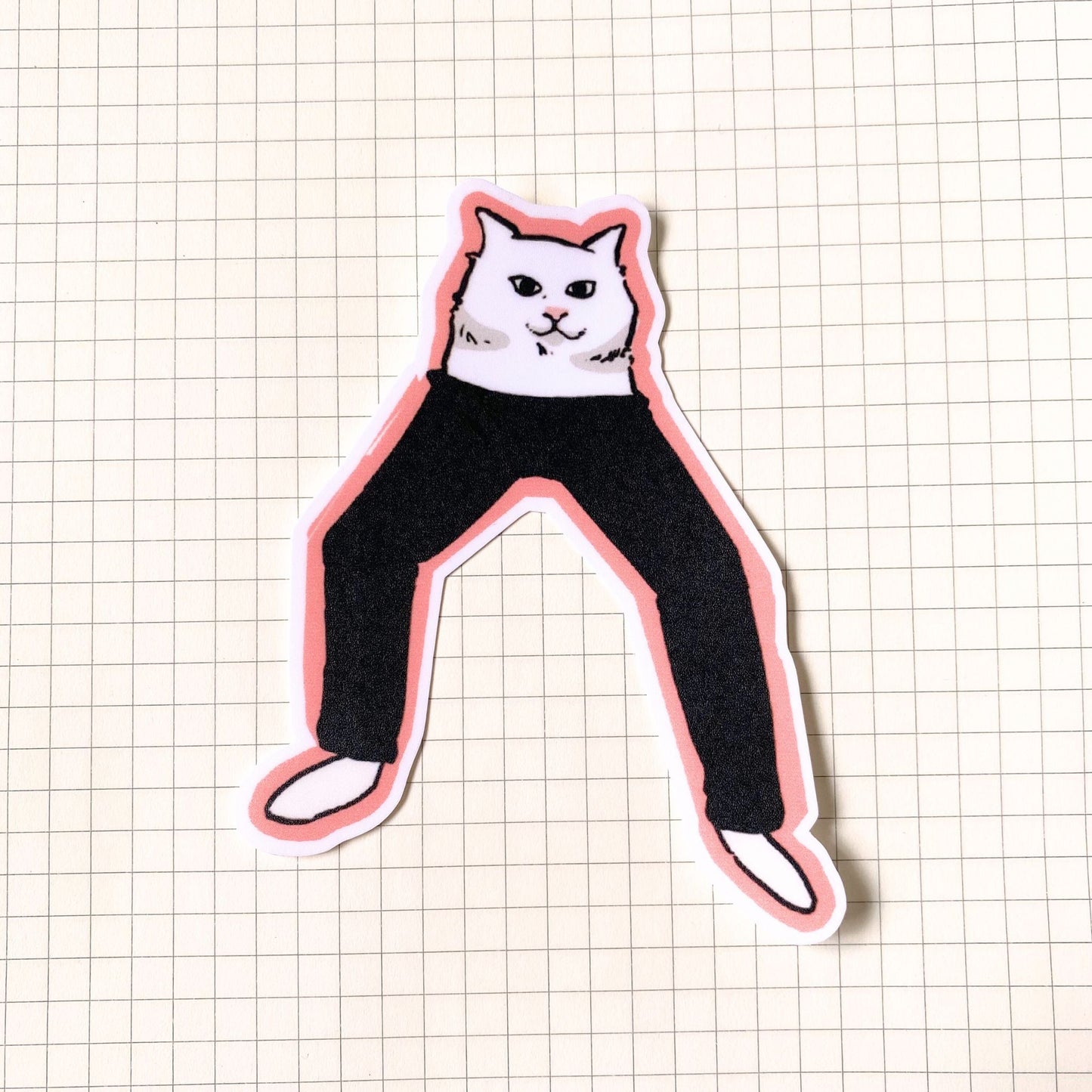 Cat Wearing Pants Meme