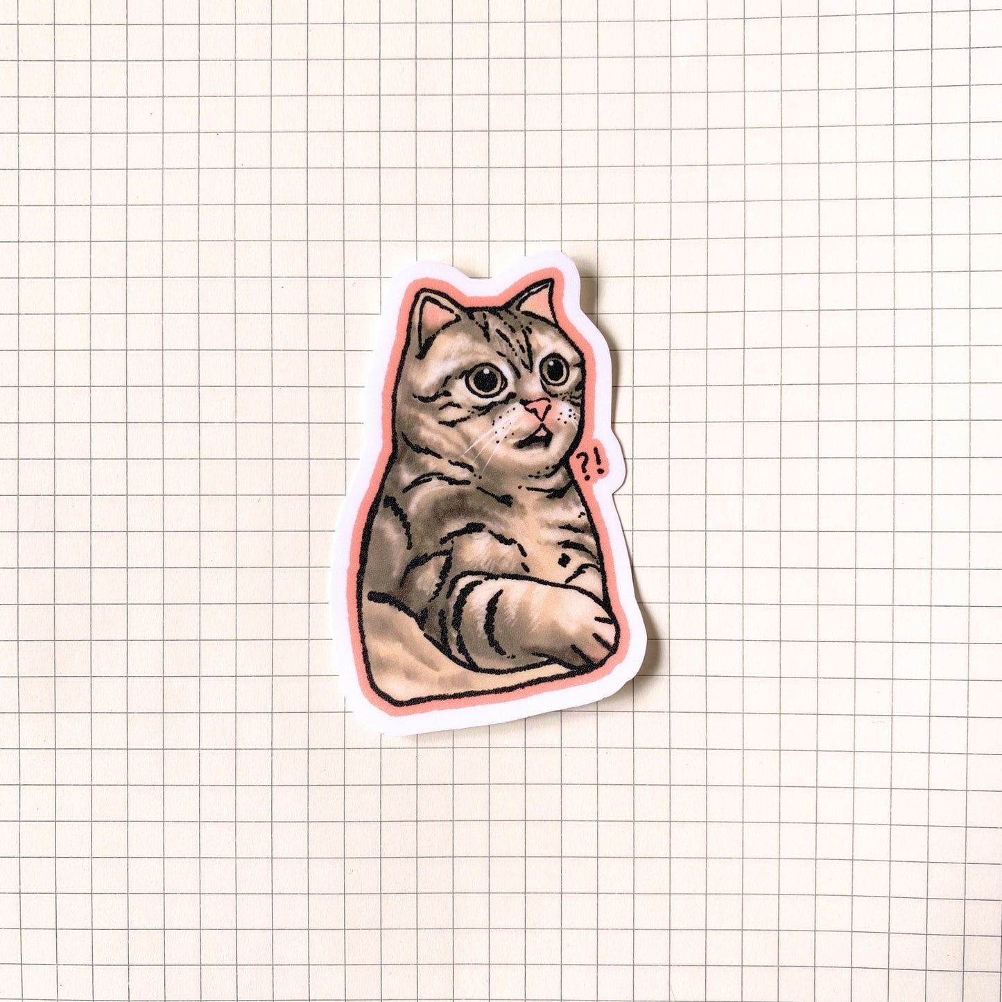 Shocked Tabby Cat Meme