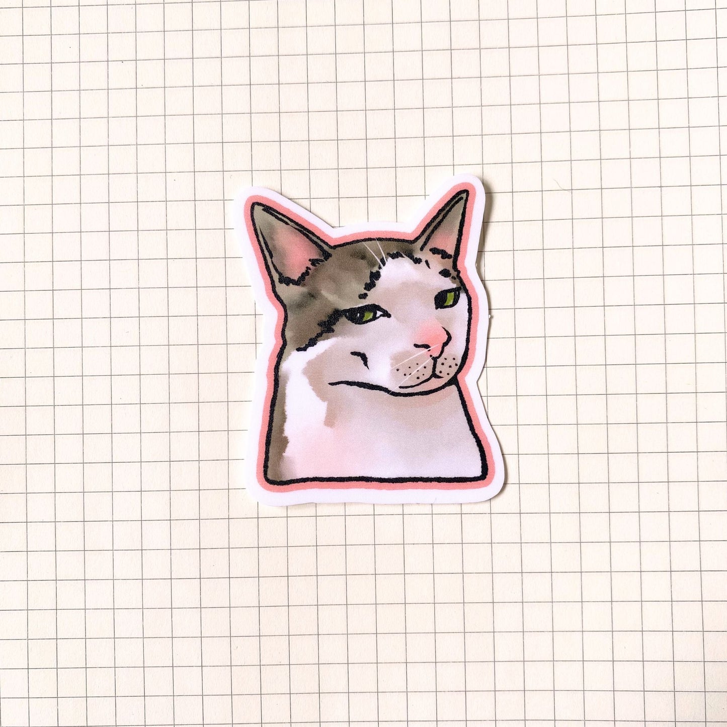 Side Eye Cat Meme Sticker