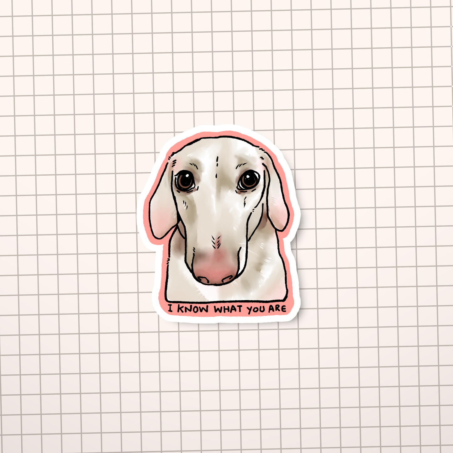 I Know What You Are Dog Meme Sticker