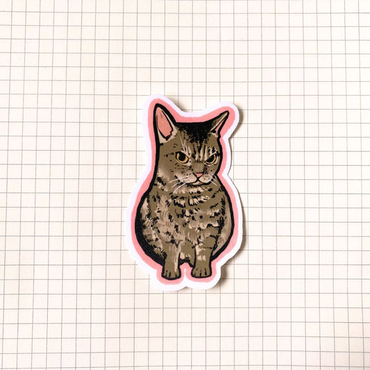 Angry Cat Meme Sticker