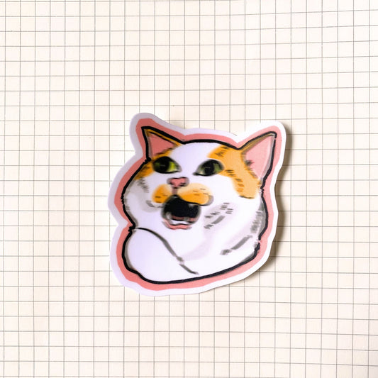 Blurry Cat Meme Sticker