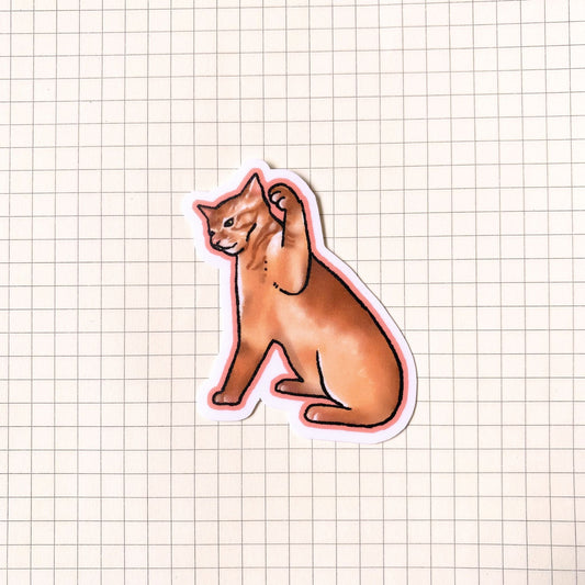 Cat Hitting Meme Sticker
