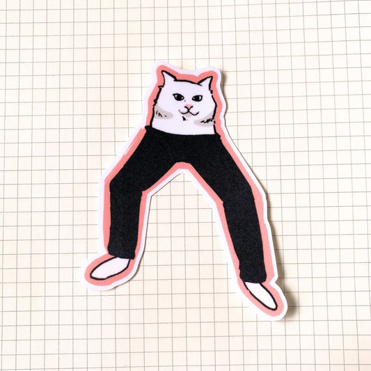 Cat Wearing Pants Meme