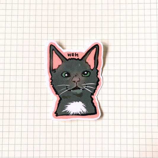 Cross Eyed Cat Meme Sticker