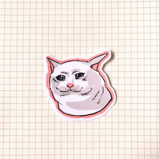 Teary Eyed Cat Meme Sticker