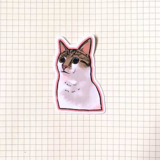 Large Eyed Cat Meme Sticker
