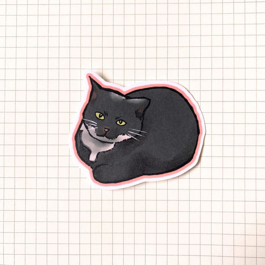 Maxwell Cat Meme Sticker