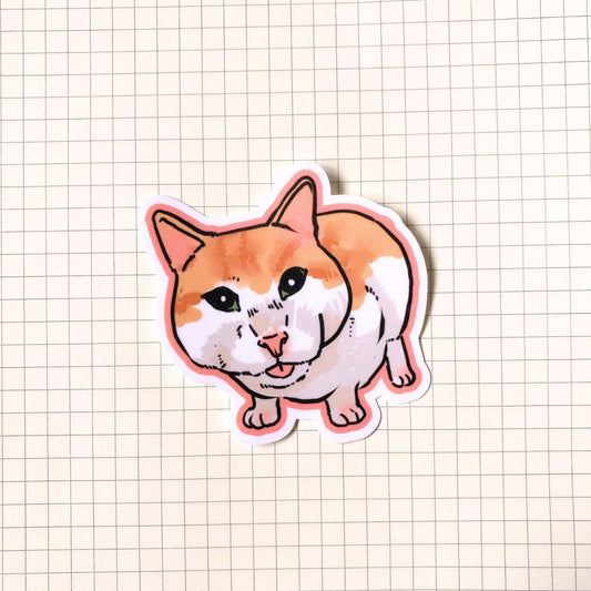 Mr. Shock Cat Meme Sticker