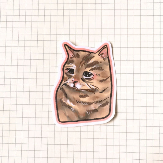 Sad Cat Meme Sticker