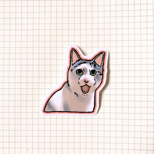 Shocked Grey Cat Meme Sticker