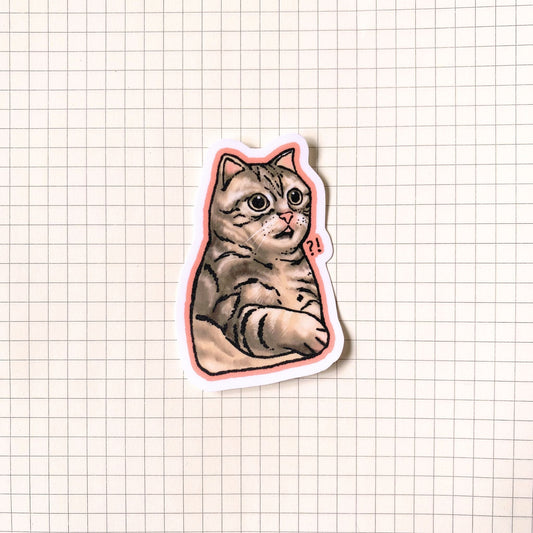 Shocked Tabby Cat Meme