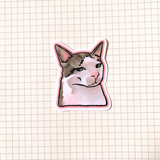 Side Eye Cat Meme Sticker