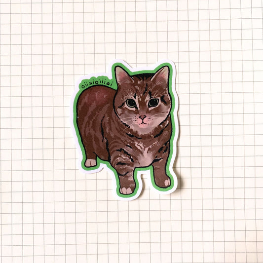 Spinning Cat Meme