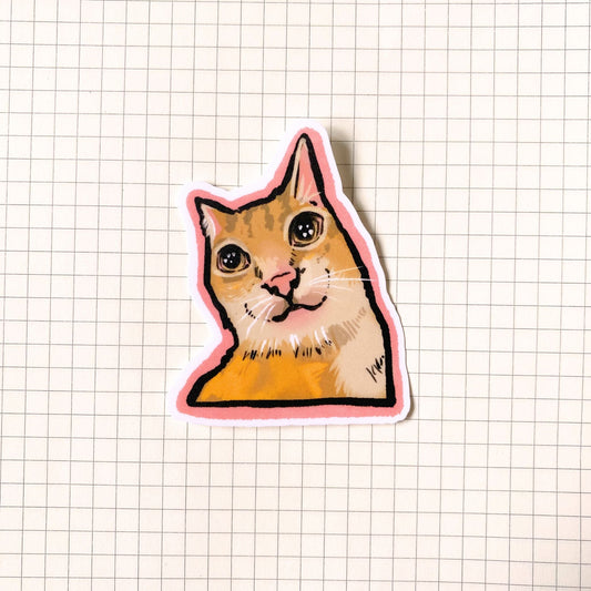 Staring Cat Meme Sticker