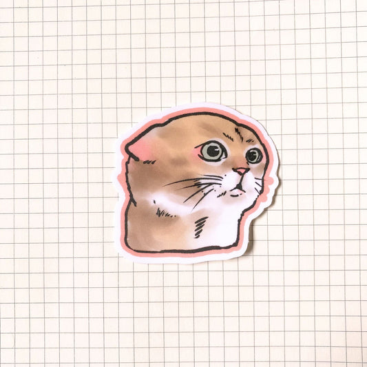 Talking Cat Meme Sticker