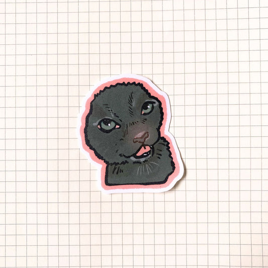 Tired Cat Meme Sticker
